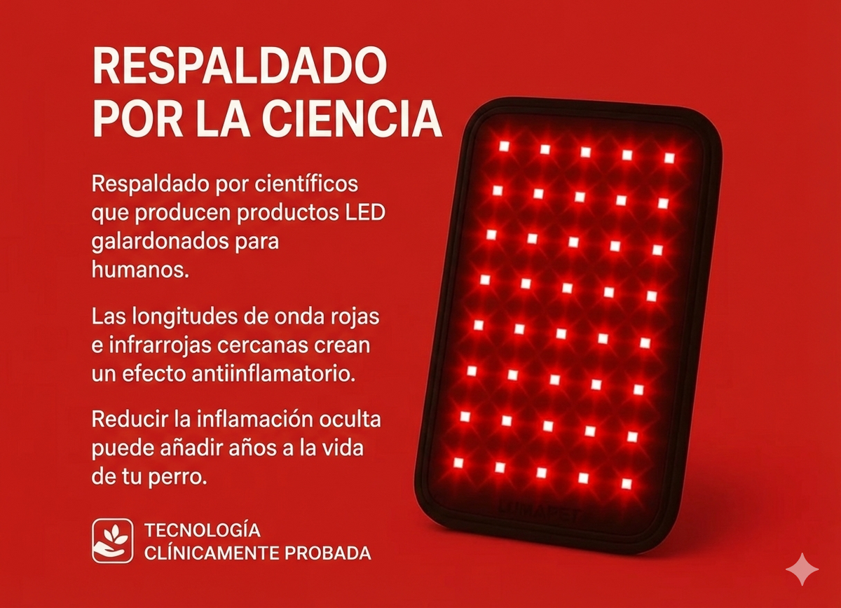 Almohadilla de Terapia Regenerativa