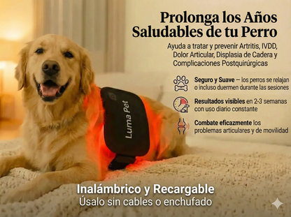 Almohadilla de Terapia Regenerativa