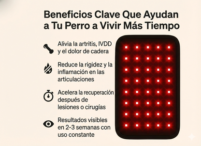 Almohadilla de Terapia Regenerativa